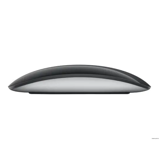 Apple Magic Mouse Multi Touch Surface schwarz