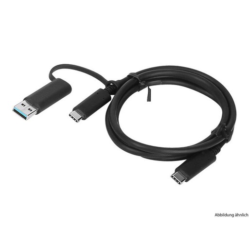 Lenovo 1m USB-C (M) auf USB-C (M) Kabel Schwarz