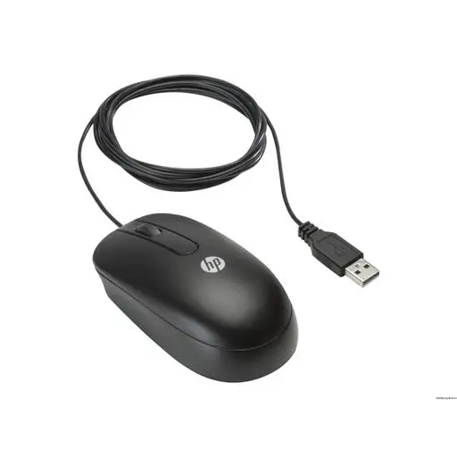HP USB Optical Scroll Maus