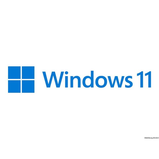 Microsoft Windows 11 Pro 64-Bit OEM DVD DE