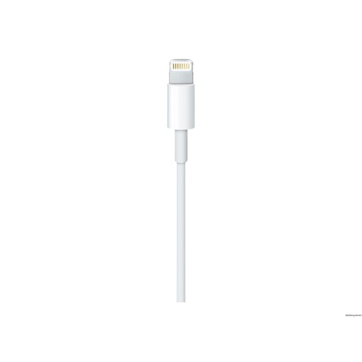 Apple 1m Lightning auf USB Kabel